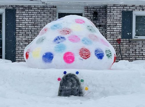 Winter Family Day in Falconbridge</br>Le jour de la famille à Falconbridge